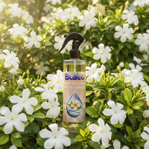 Brume d'intérieur - Eclat des tropiques - 500ml - Parfum Monoï - Bulléo