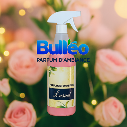 Vaporisateur d'intérieur SENSUEL - 750 ml